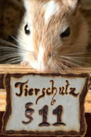 § 11 Tierschutzgesetz, Tierschutz, Wirbeltierschein, Mäuseroulette, Mausroulette, Mäuse Roulette, Mäusespiel, Maus Roulette.