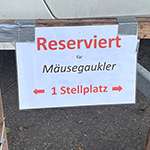 Bilder vom wahrscheinlich schönsten Mäuseroulette der Mittelalterszene. Beim Hornsteiner Lagerleben zu Orsenhausen bei Schwendi
