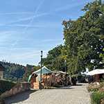 Bilder vom wahrscheinlich schönsten Mäuseroulette der Mittelalterszene. Beim Staufermarkt im Kloster Lorch. Stauferfalknerei