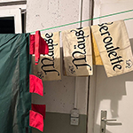 Bilder vom wahrscheinlich schönsten Mäuseroulette der Mittelalterszene. Entstanden sind die Bilder auf Schloss Hellenstein in Heidenheim