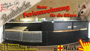 Vorschaubild des Videos auf Youtube.