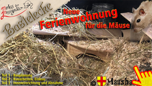 Vorschaubild des Videos auf Youtube.