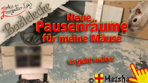 Vorschaubild des Videos auf Youtube.