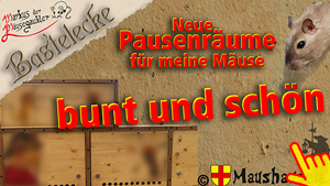 Vorschaubild des Videos auf Youtube.