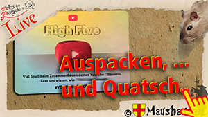 Vorschaubild des Videos auf Youtube.