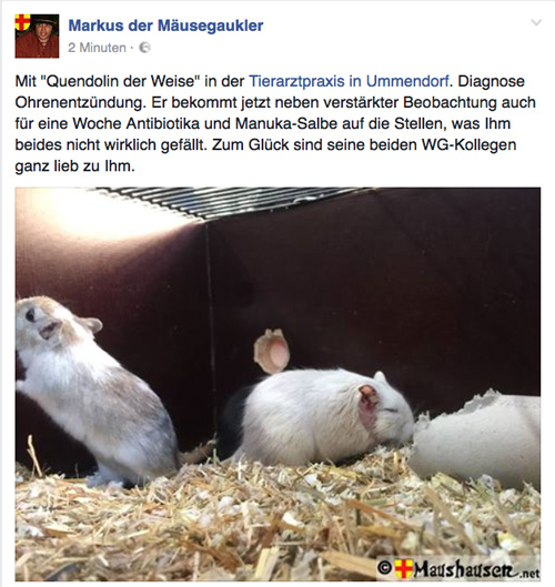 Bildschirmbild von der Facebookseite Markus der Mäusegaukler, Mäuseroulette, Mittelaltermarkt, Maushausen, Tierarzt.