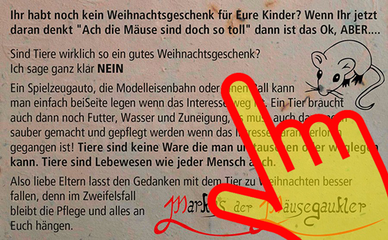 Bild Tiere sind kein Weihnachtsgeschenk