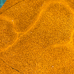 Dieses Lederstück hat ein Muster welches auf eine Verletzung des Tieres, bzw der Lederhaut hindeutet. Da sich dieses Muster schön abzeichnet habe ich gefragt ob es nach Innen oder nach Außen soll. Weitere Ledertaschen entstehen, in den Büchern Rubinrot, Saphierblau und Smaraktgrün wird ein solches Täschchen als Retikül bezeichnet.