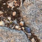 Bilder vom wahrscheinlich schönsten Mäuseroulette der Mittelalterszene. Entstanden auf dem Mittelalter- Kulturfest um die Jugendherberge Burg Wildenstein