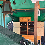 Im wunderschönen und schattigen Kardinalsgarten von Schillingsfürst stand das wahrscheinlich schönsten Mäuseroulette der Mittelalterszene.